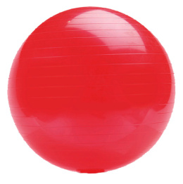 Piłka gimnastyczna Rehabilitacyjna Joga Pilates SPARTAN 16 cm Czerwona